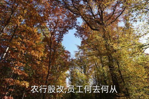 農行股改,員工何去何從