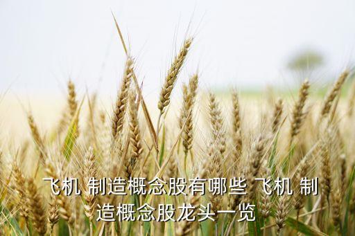  飛機(jī) 制造概念股有哪些 飛機(jī) 制造概念股龍頭一覽