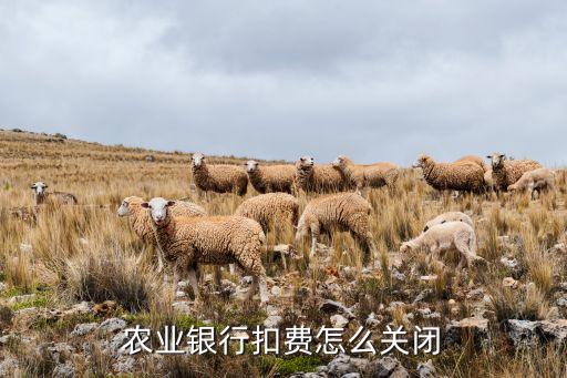 農業(yè)銀行扣費怎么關閉