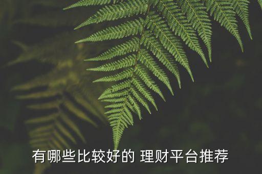 有哪些比較好的 理財(cái)平臺推薦