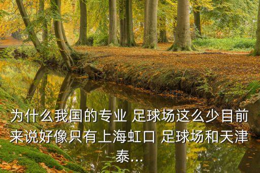 為什么我國(guó)的專(zhuān)業(yè) 足球場(chǎng)這么少目前來(lái)說(shuō)好像只有上海虹口 足球場(chǎng)和天津泰...