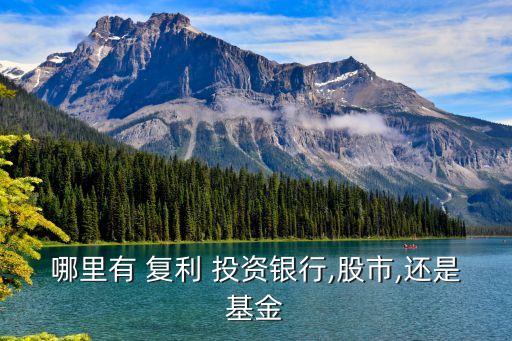 復(fù)利式投資平臺,100萬的復(fù)利表