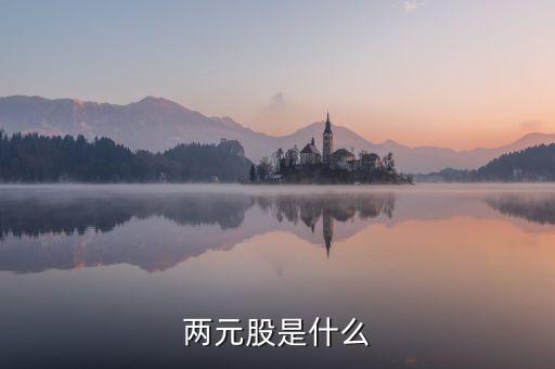 兩元股是什么