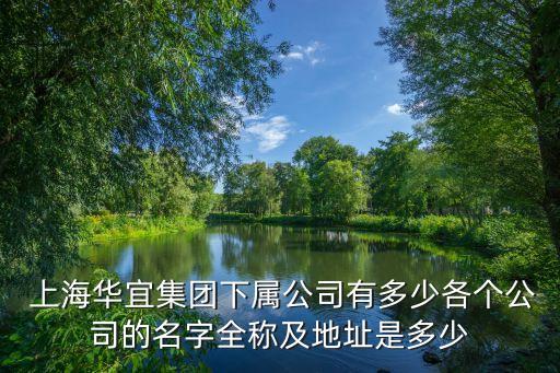  上海華宜集團下屬公司有多少各個公司的名字全稱及地址是多少