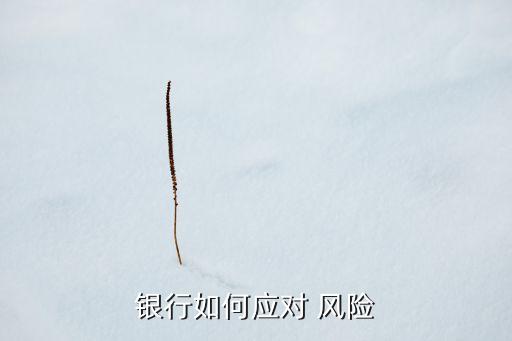 銀行如何應(yīng)對 風險