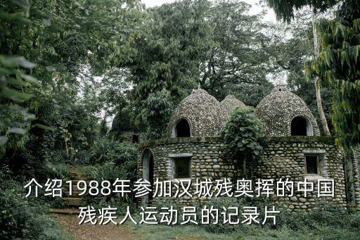 介紹1988年參加漢城殘奧揮的中國殘疾人運(yùn)動員的記錄片