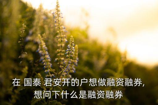 在 國泰 君安開的戶想做融資融券,想問下什么是融資融券