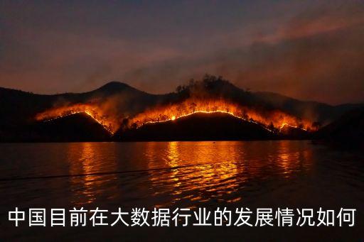 2013年中國互聯(lián)網行業(yè)投資分布