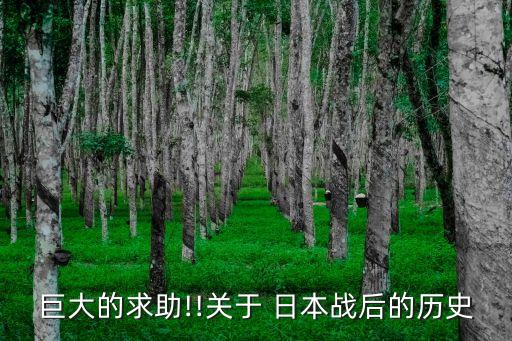 巨大的求助!!關(guān)于 日本戰(zhàn)后的歷史