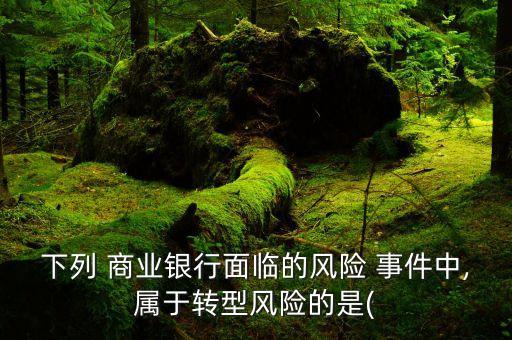 下列 商業(yè)銀行面臨的風(fēng)險 事件中,屬于轉(zhuǎn)型風(fēng)險的是(