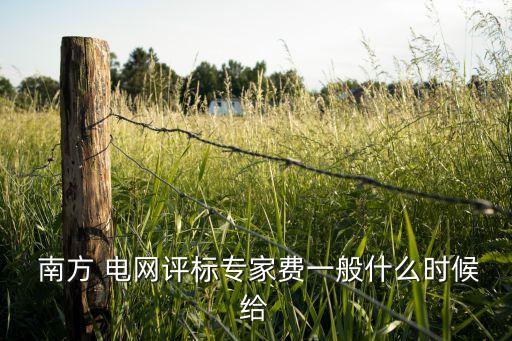  南方 電網(wǎng)評(píng)標(biāo)專(zhuān)家費(fèi)一般什么時(shí)候給