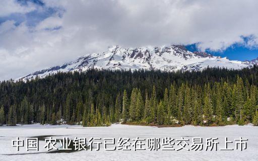 中國 農(nóng)業(yè)銀行已經(jīng)在哪些交易所上市