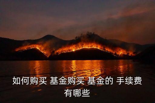 如何購買 基金購買 基金的 手續(xù)費有哪些