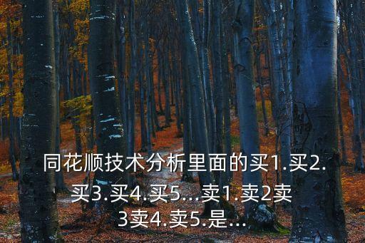  同花順技術(shù)分析里面的買(mǎi)1.買(mǎi)2.買(mǎi)3.買(mǎi)4.買(mǎi)5...賣(mài)1.賣(mài)2賣(mài)3賣(mài)4.賣(mài)5.是...