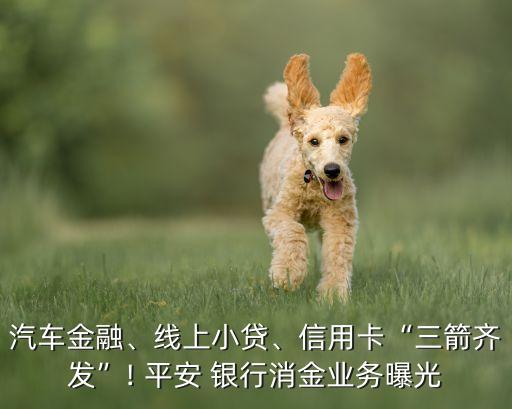 汽車金融、線上小貸、信用卡“三箭齊發(fā)”! 平安 銀行消金業(yè)務曝光