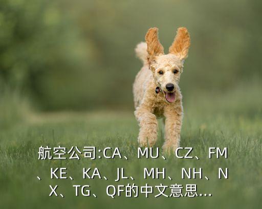  航空公司:CA、MU、CZ、FM、KE、KA、JL、MH、NH、NX、TG、QF的中文意思...