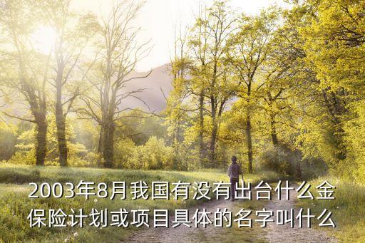 2003年8月我國(guó)有沒(méi)有出臺(tái)什么金保險(xiǎn)計(jì)劃或項(xiàng)目具體的名字叫什么