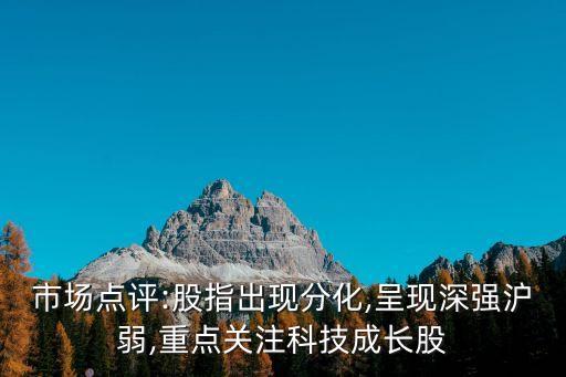 市場點評:股指出現(xiàn)分化,呈現(xiàn)深強滬弱,重點關(guān)注科技成長股