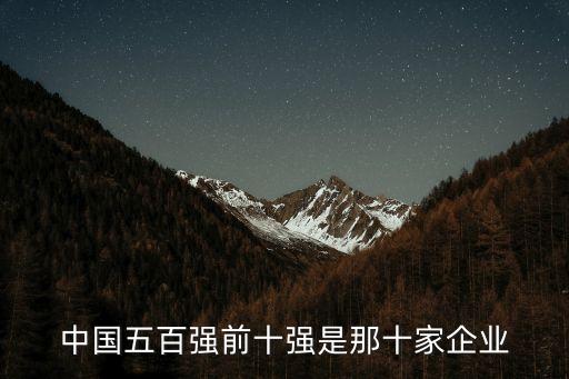 中國(guó)五百強(qiáng)前十強(qiáng)是那十家企業(yè)