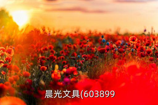  晨光文具(603899