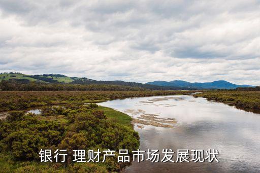 銀行 理財(cái)產(chǎn)品市場(chǎng)發(fā)展現(xiàn)狀
