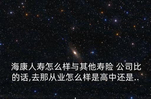?？等藟郾ｋU(xiǎn)公司2012年報(bào)表