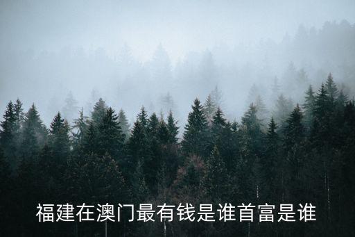 國(guó)脈科技股份有限公司董事長(zhǎng),福建國(guó)脈科技股份有限公司