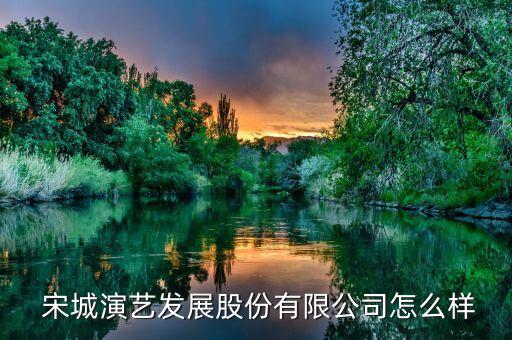 副會(huì)長(zhǎng)宋城集團(tuán),宋城集團(tuán)簡(jiǎn)介創(chuàng)始人