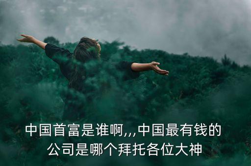 中國(guó)首富是誰(shuí)啊,,,中國(guó)最有錢(qián)的 公司是哪個(gè)拜托各位大神