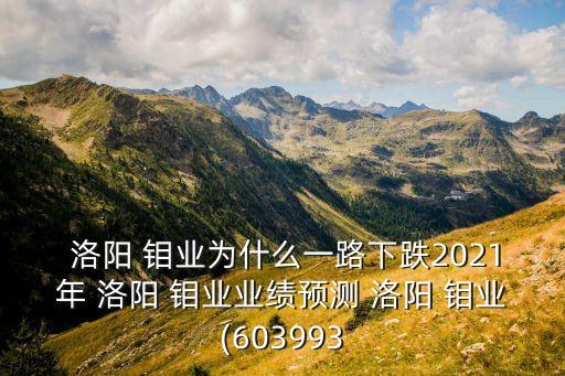 洛陽鉬業(yè)公司子公司,上海洛陽鉬業(yè)公司怎么樣