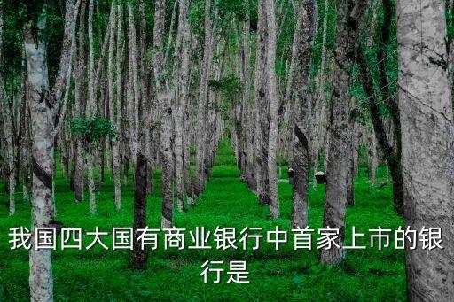 我國四大國有商業(yè)銀行中首家上市的銀行是