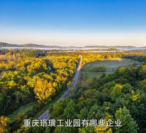 重慶珞璜工業(yè)園有哪些企業(yè)
