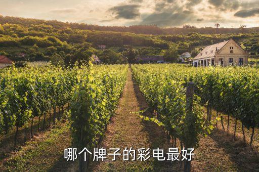 2015中國(guó)電視機(jī)銷量,電視機(jī)品牌銷量排行榜前十名