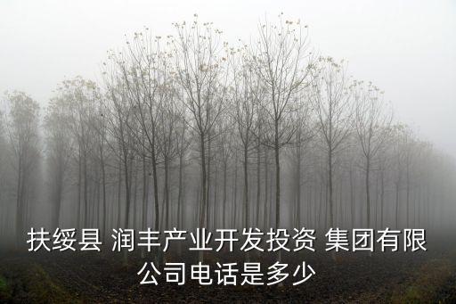 扶綏縣 潤豐產業(yè)開發(fā)投資 集團有限公司電話是多少
