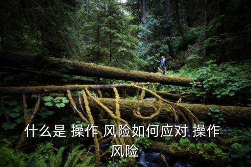 什么是 操作 風險如何應(yīng)對 操作 風險