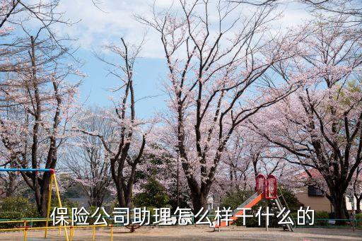 保險公司總助