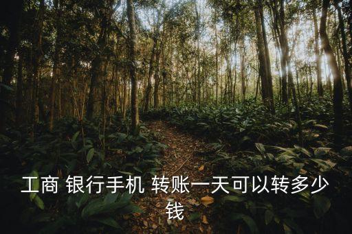 工行網上銀行最多轉賬多少錢,工行企業(yè)網上銀行怎么轉賬