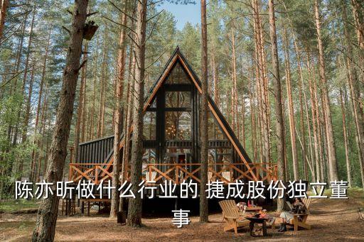 陳亦昕做什么行業(yè)的 捷成股份獨(dú)立董事