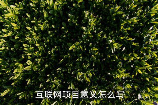  互聯網項目意義怎么寫