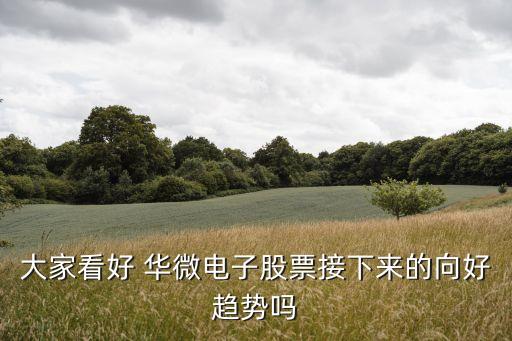 大家看好 華微電子股票接下來(lái)的向好趨勢(shì)嗎