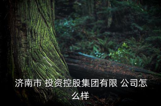  濟南市 投資控股集團有限 公司怎么樣
