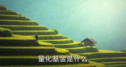 量化基金是什么
