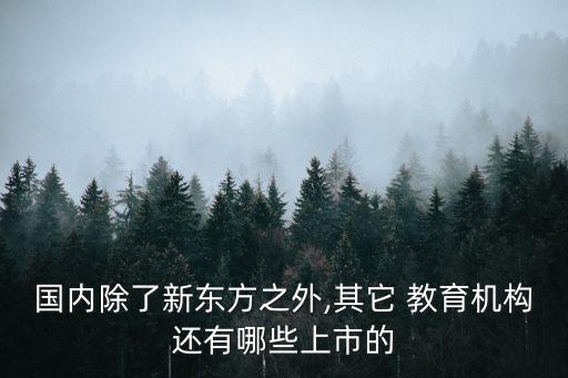 國內除了新東方之外,其它 教育機構還有哪些上市的