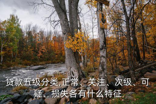 貸款五級分類,正常、關注、次級、可疑、損失各有什么特征