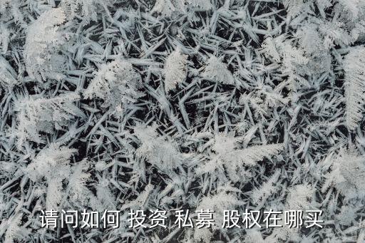 請(qǐng)問如何 投資 私募 股權(quán)在哪買