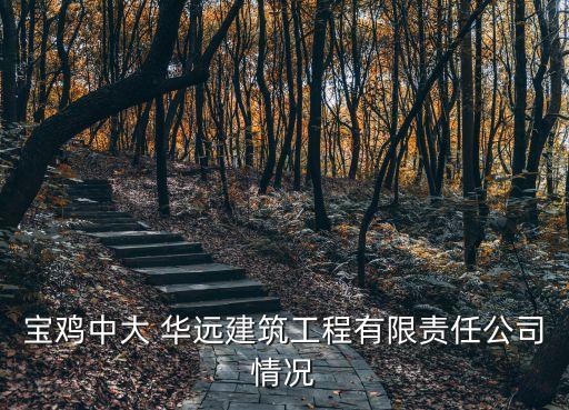 寶雞中大 華遠建筑工程有限責(zé)任公司情況