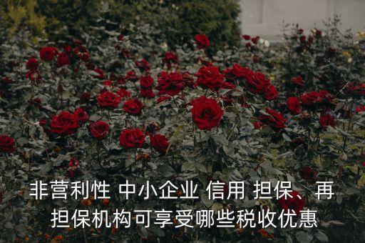 非營(yíng)利性 中小企業(yè) 信用 擔(dān)保、再 擔(dān)保機(jī)構(gòu)可享受哪些稅收優(yōu)惠