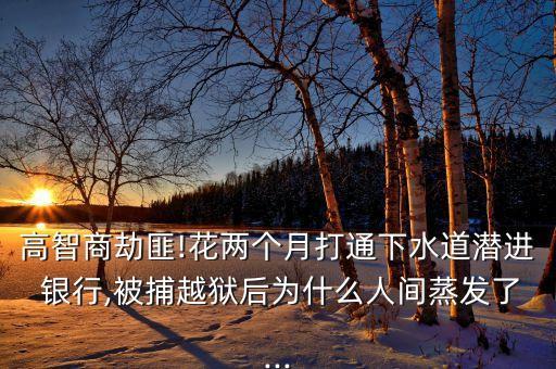 高智商劫匪!花兩個月打通下水道潛進 銀行,被捕越獄后為什么人間蒸發(fā)了...