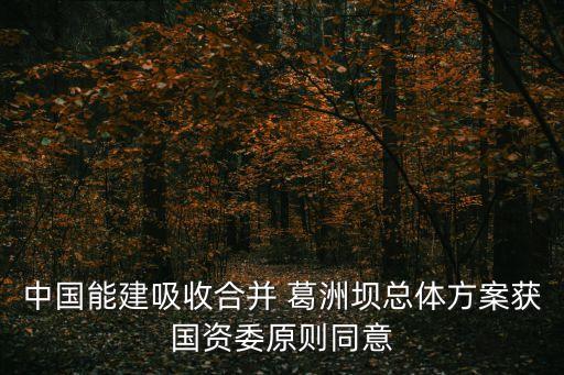 葛洲壩集團(tuán)財務(wù)分析,青島金王集團(tuán)財務(wù)分析