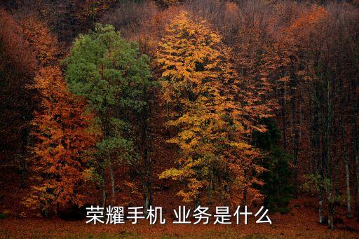 消費者業(yè)務(wù)集團,為了對不同消費者集團